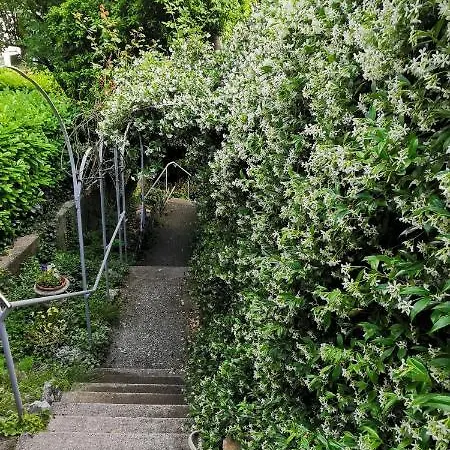 Charming In A 19th Century * טריאסטה