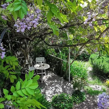 Charming In A 19th Century * Trieste