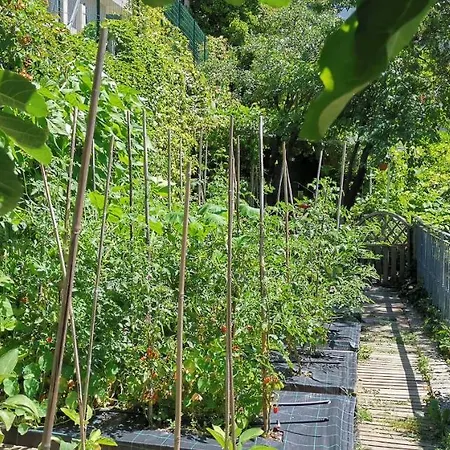 Charming In A 19th Century דירה