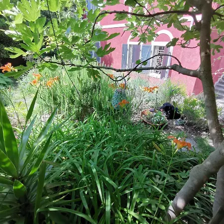 Daire Charming In A 19th Century