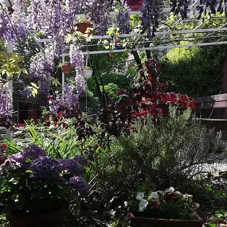 Charming In A 19th Century טריאסטה