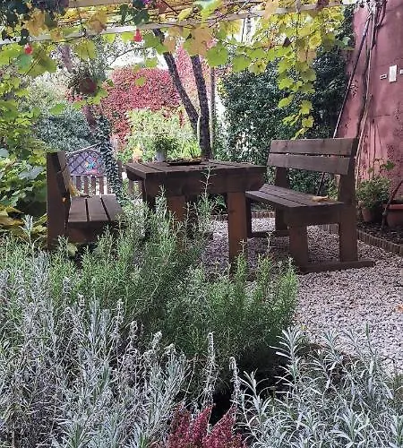 Charming In A 19th Century Apartment *